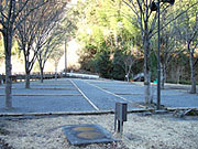 Aサイトphoto