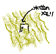 {쐅ʐ̊G